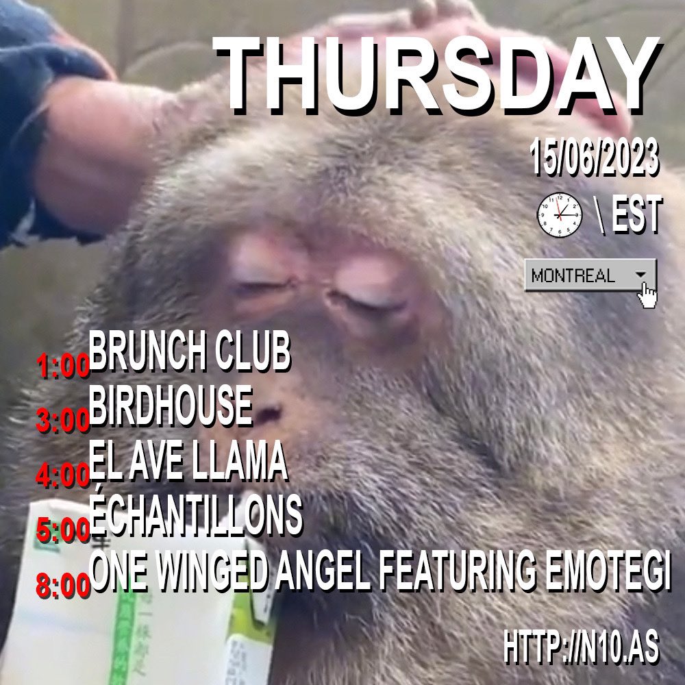 🐒 THURSDAY 🐒
1 PM EST START 
n10.as