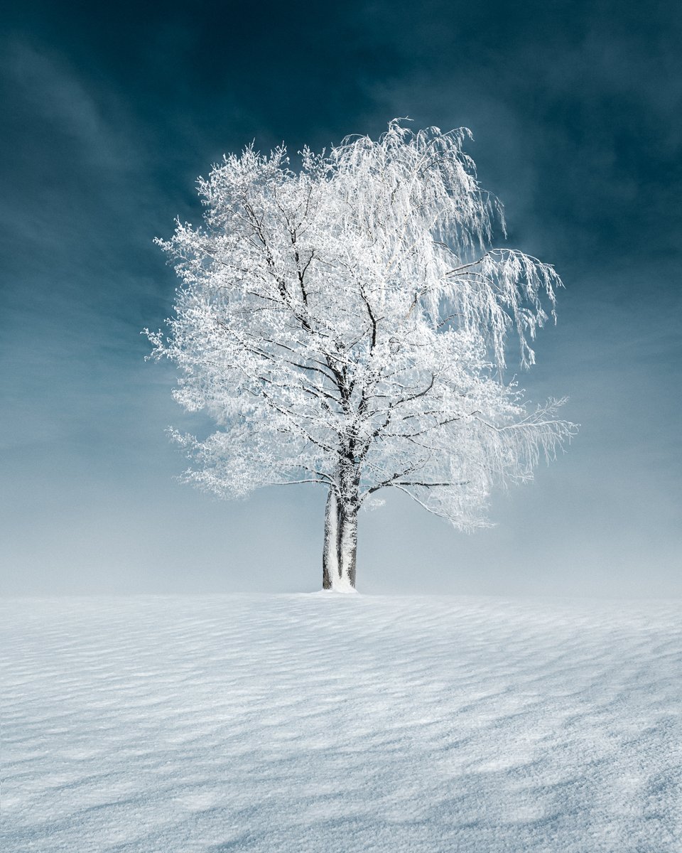 MikkoLagerstedt's tweet photo. Wonder

Story: https://t.co/AxF0NHDk5g https://t.co/D2ya6caT4G