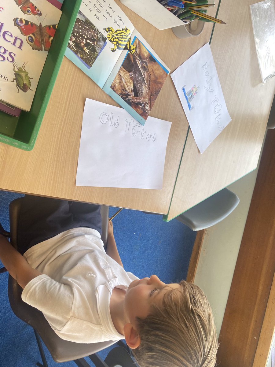 Mrs Maggs Year 2 tweet media