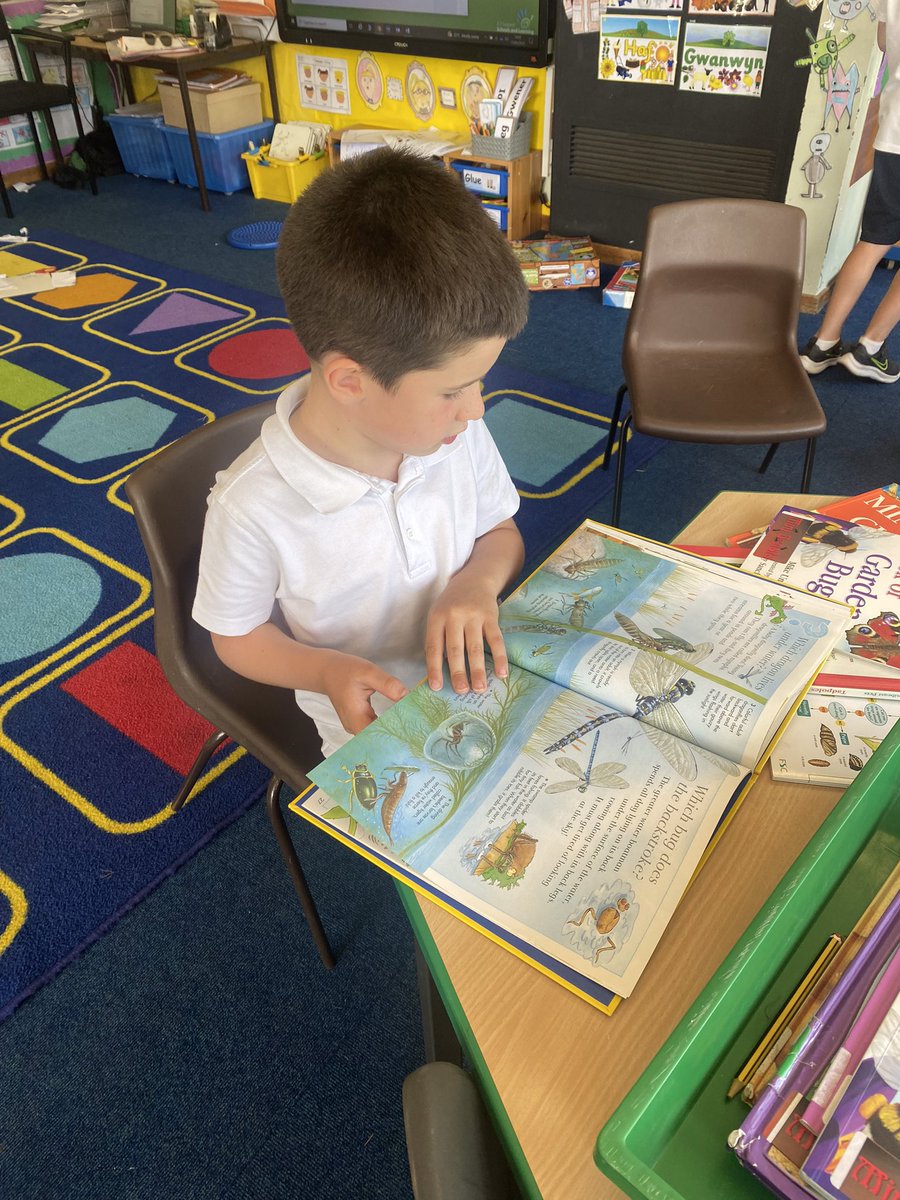 Mrs Maggs Year 2 tweet media