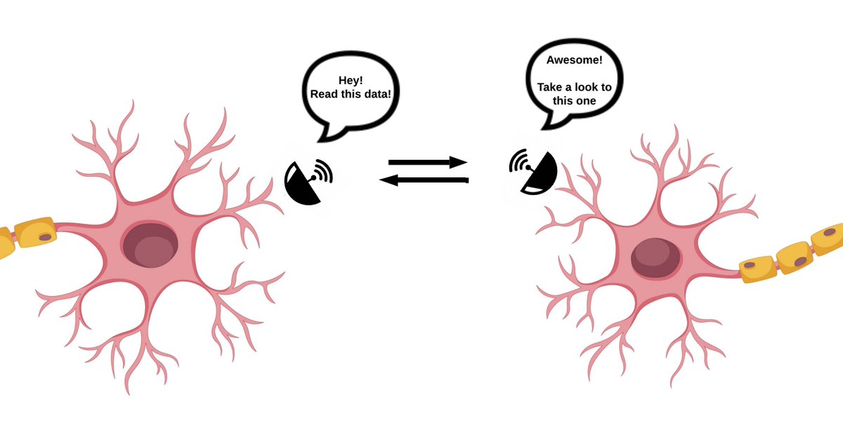 'Dendrites' in a neuron-like network know where to send requests by consulting a network ledger, finding the correct addresses. All of this process is handled internally by the Bittensor system. Neurons can even update their ledger entries if they change their IP address.