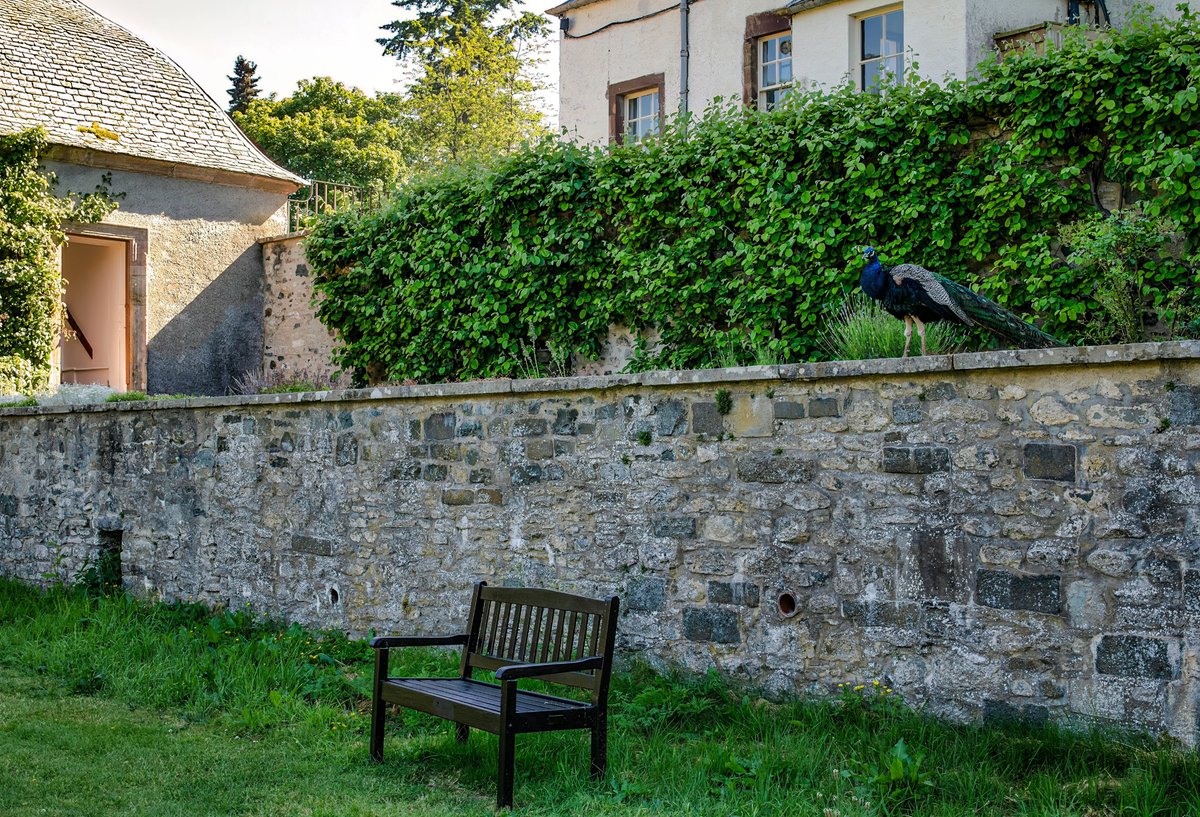 Baking hot day at Traquair. #Scotland, #ScottishBorders