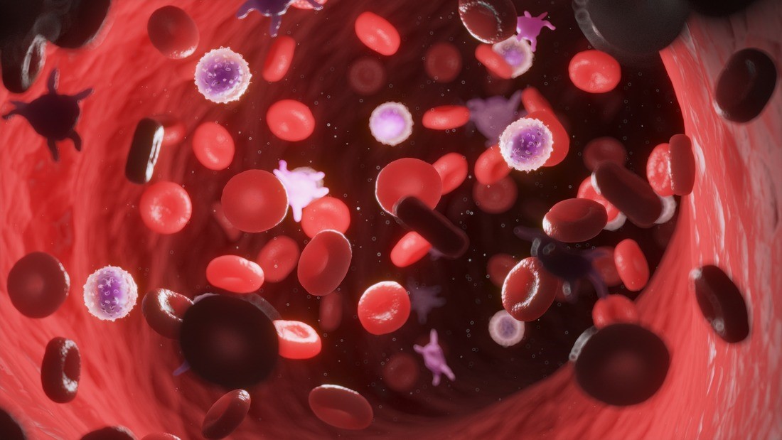 MRC MHU (@mrc_mhu) on Twitter photo RECENT STUDY by the Nerlov group in <a href="/NatureCellBio/">Nature Cell Biology</a> sheds light on the mechanisms that determine which cell types haematopoietic stem cells (HSCs) generate, and also how quickly this happens.
Congrats to <a href="/YRMeng/">Yiran Meng</a> and other authors 🎉
Read more here: bit.ly/3qHMh74 RECENT STUDY by the Nerlov group in <a href="/NatureCellBio/">Nature Cell Biology</a> sheds light on the mechanisms that determine which cell types haematopoietic stem cells (HSCs) generate, and also how quickly this happens.
Congrats to <a href="/YRMeng/">Yiran Meng</a> and other authors 🎉
Read more here: bit.ly/3qHMh74