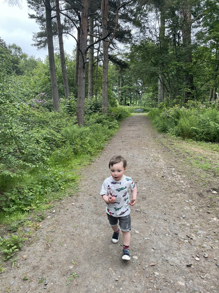 cupcakekerr's tweet photo. @StruthersEYC Innis and mummy had a lot of fun searching and collecting the scavenger hunt items https://t.co/Y96XHOMDWY