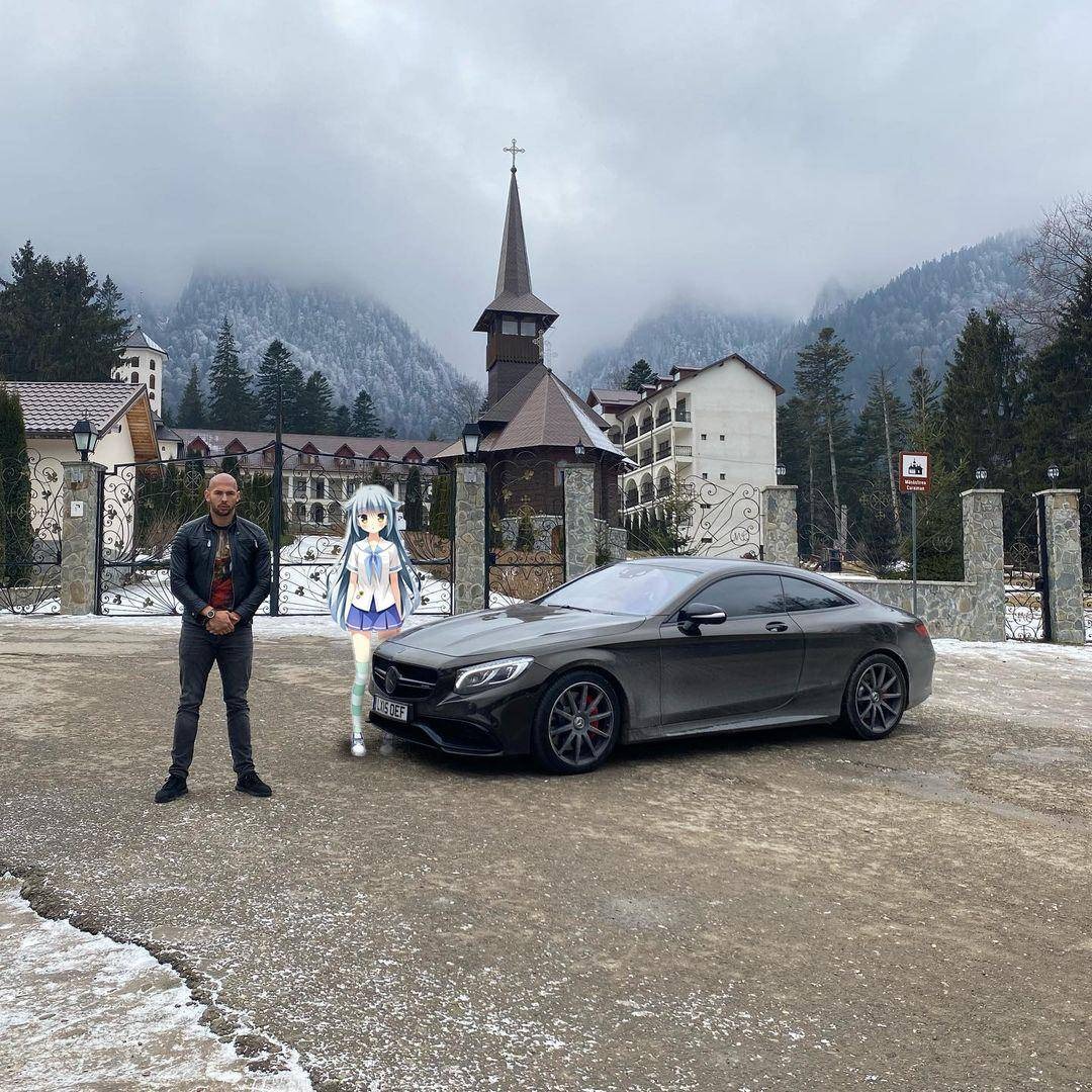 Tate Updates tweet media