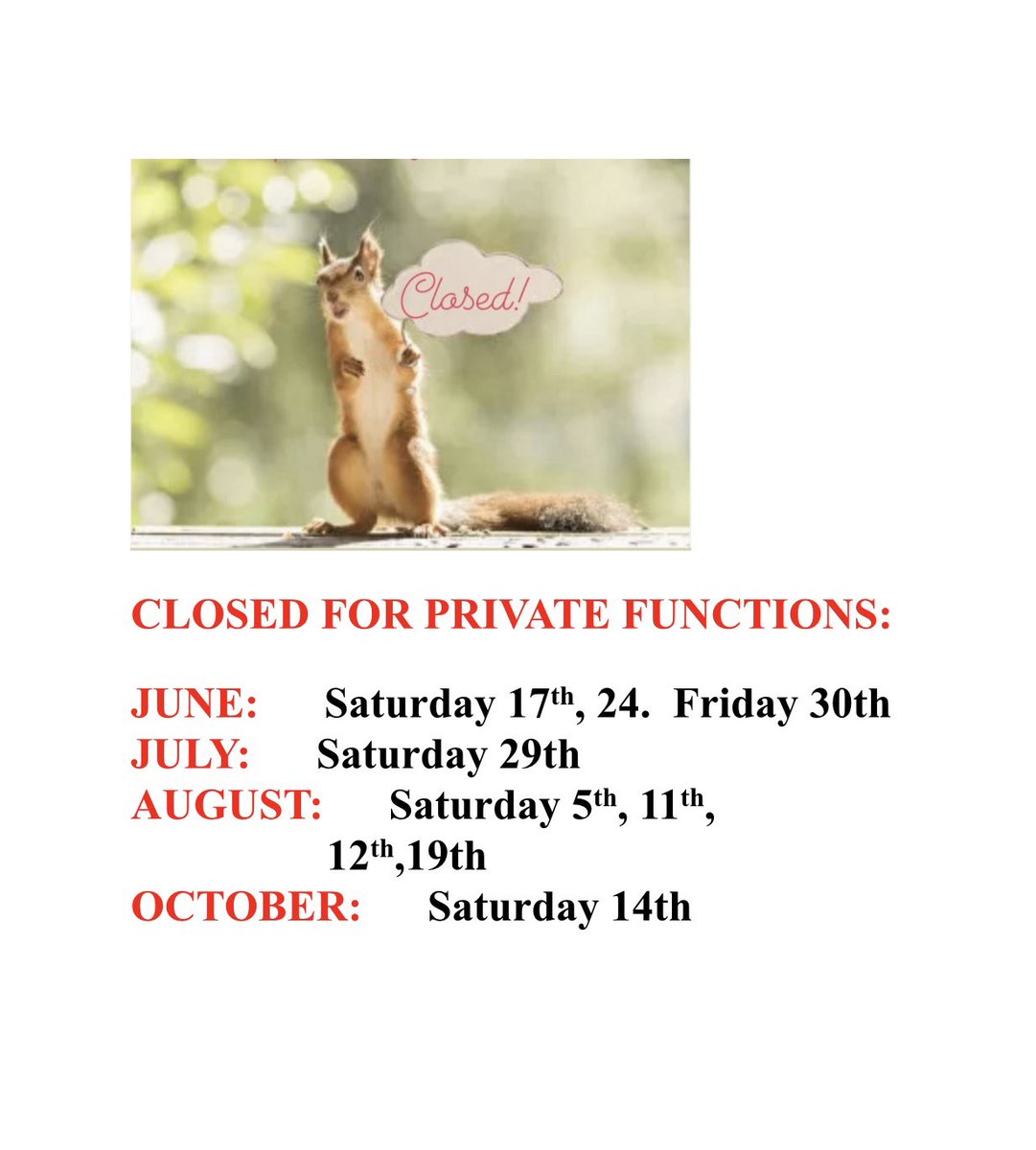 Apologies for any inconvenience 💛🐿️