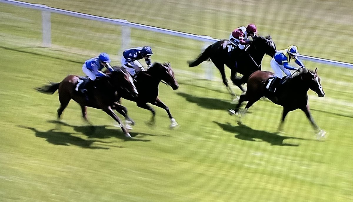 amajox's tweet photo. Congrats @amajox @HighclereGin What a finish! #deadheat @NewburyRacing #TessyLad @LangleyTaryn @RHughesracing & #LennysSpirit #SophieSmith @EdDunlopRacing #photo #toprides #topjox Well done both! #12ran ๐ฐ ๐ธ๐๐ https://t.co/ilJp2oA5oO
