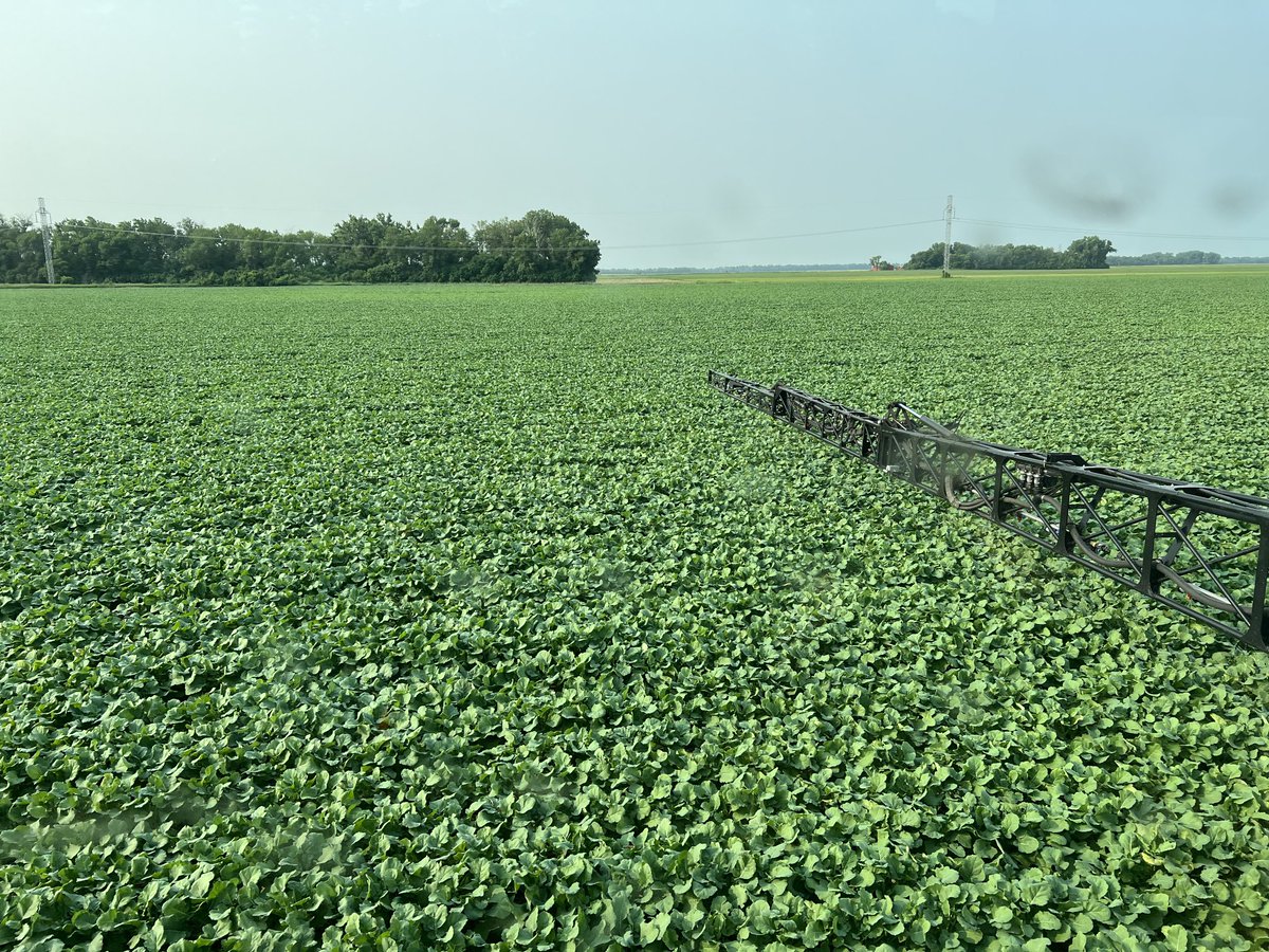 Justin Halvorson tweet media