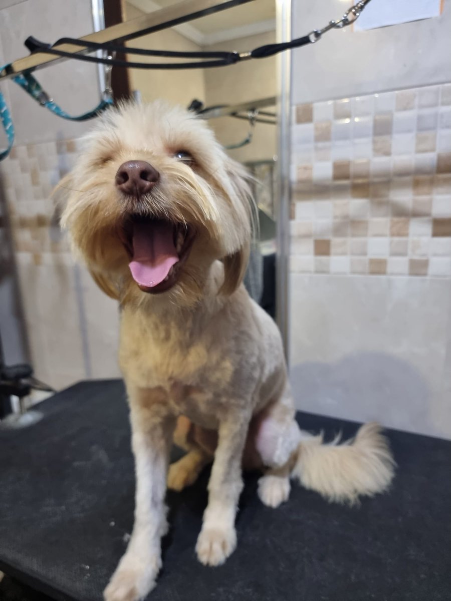 ᑭᏞᗩᑎᗴᎢᗩ Ꮓᗩᖇᑭᗩ tweet media