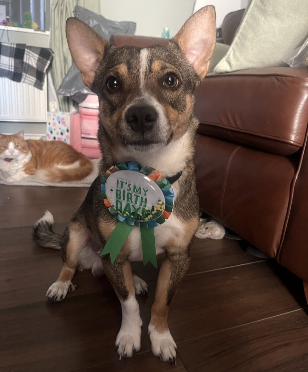 My baby is 1 🥺💛😭