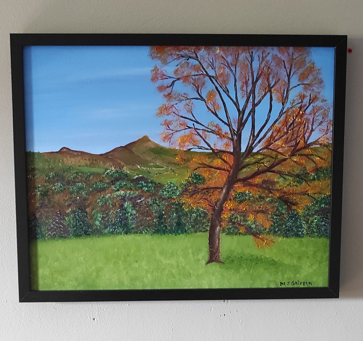 Framed my latest oil painting
'View from Powerscourt'
40 X 50cm.     
€220
michaeljohngriffinart.com