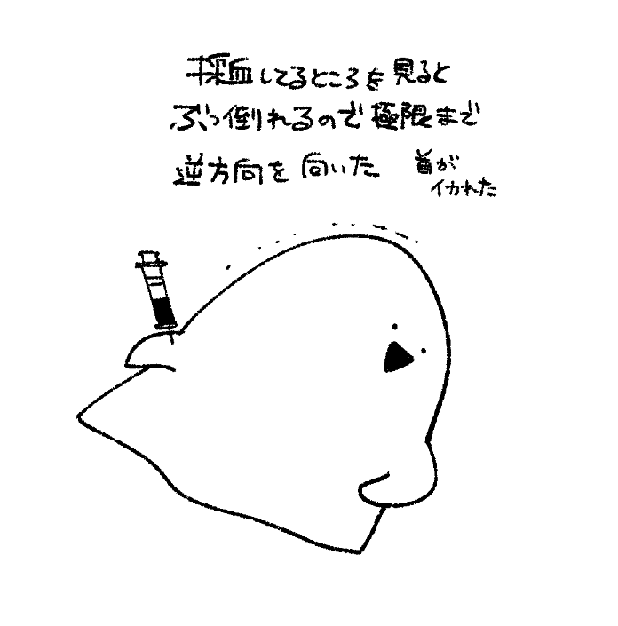 近況報告です 生きてます 休み休みやってます✌