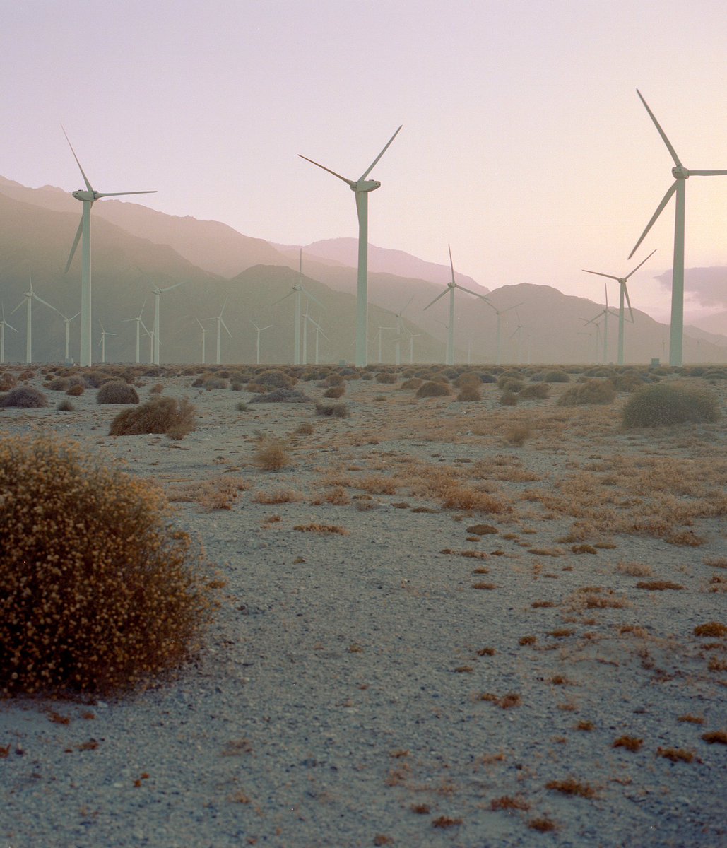 Alessandro Indaco tweet media