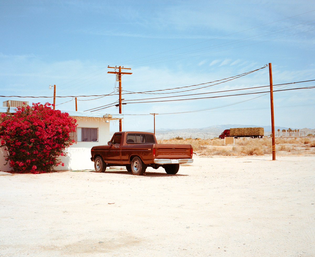 Alessandro Indaco tweet media