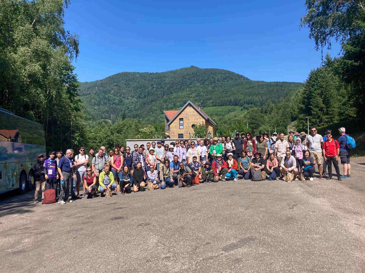 UL_Propuls's tweet photo. THe Xᵉ #International Conference on #Serpentine #Ecology 🌱(12-16 June 2023) takes place in #Nancy. 
More than 120 #researchers from five continents comes to share their expertise around metal #hyperaccumulating plants that clean up soils! 
Find out more: https://t.co/CEesTsEa8p https://t.co/UpuHToM8oU