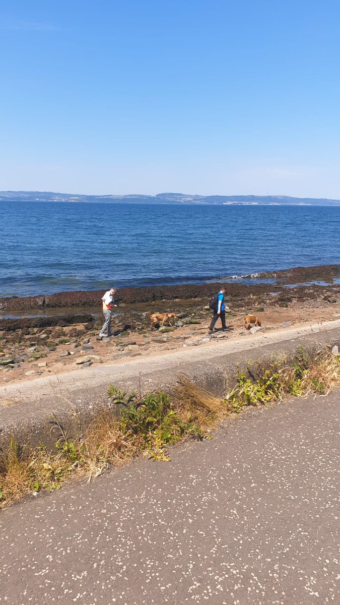 We are enjoying getting outside for lessons at the Alternative school in this wonderful weather! Sunshine + dog walking + Cramond =  creating memories and building relationships 😃 #hereforgood #ThisIsYouthWork #YouthworkMatters