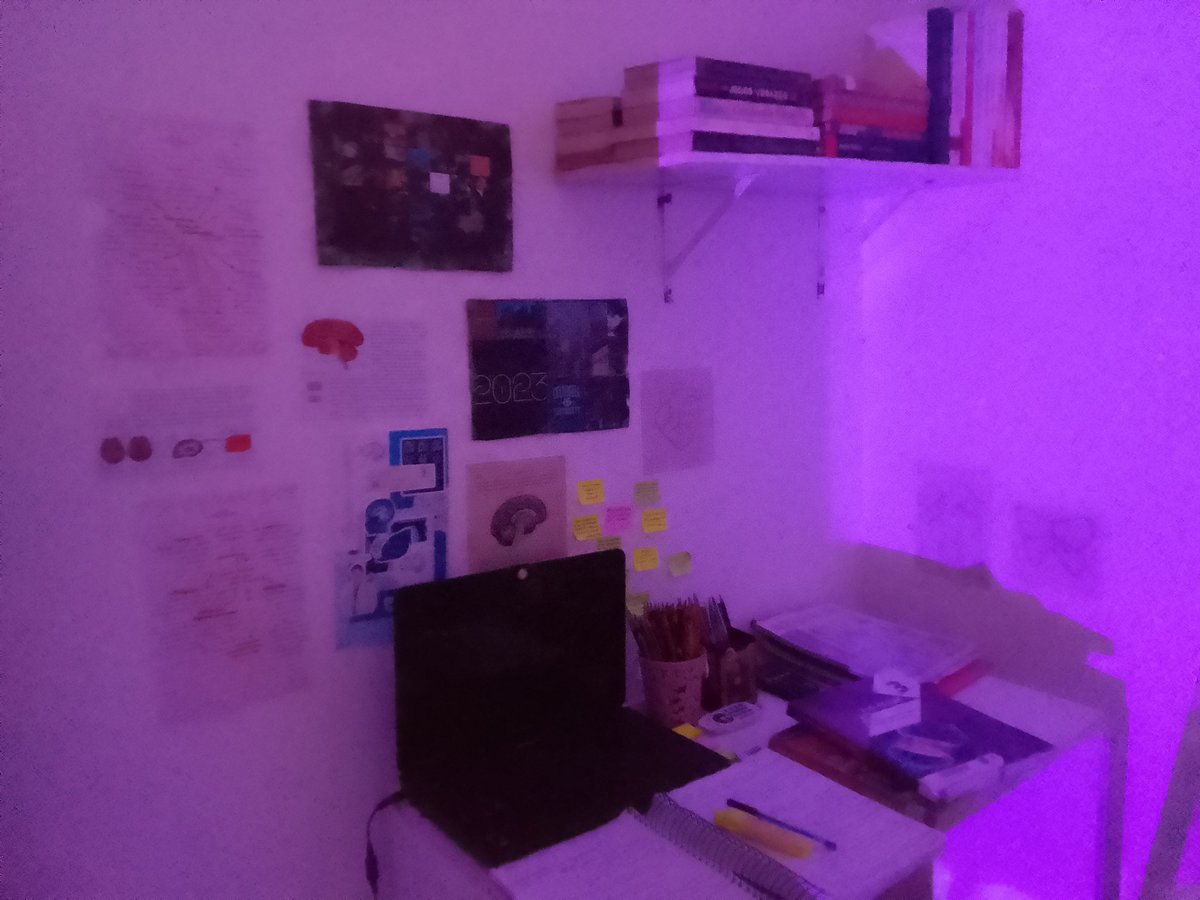 elle_studys's tweet image. finalmente consegui organizar meu cantinho de estudos 💗