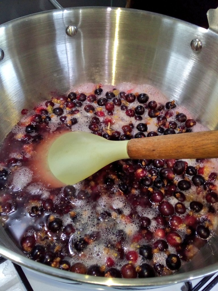 mrkevstocks's tweet image. 4 hrs to make jam these days (and that's on all my meds..still hurting)Turns out there was 950kg in each bag so I've put one in the freezer till Saskia sells these ones #blackcurrant #jam #llanfairfechan #saskiaslittlefarmshop