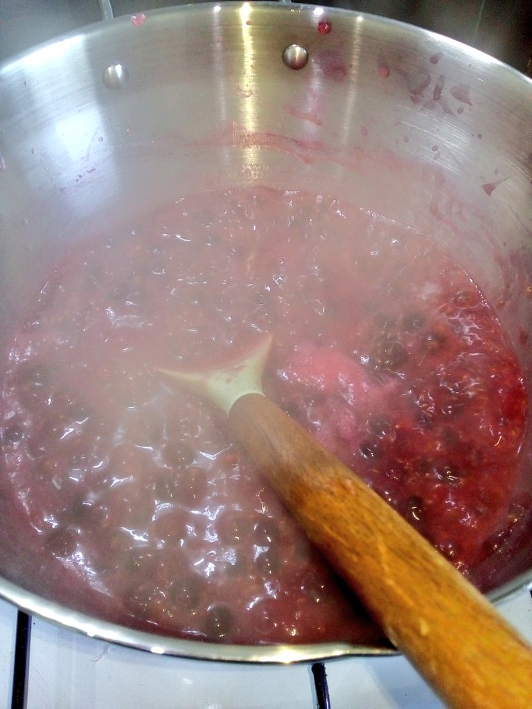 mrkevstocks's tweet image. 4 hrs to make jam these days (and that's on all my meds..still hurting)Turns out there was 950kg in each bag so I've put one in the freezer till Saskia sells these ones #blackcurrant #jam #llanfairfechan #saskiaslittlefarmshop