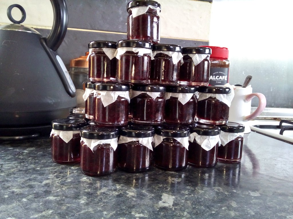 mrkevstocks's tweet image. 4 hrs to make jam these days (and that's on all my meds..still hurting)Turns out there was 950kg in each bag so I've put one in the freezer till Saskia sells these ones #blackcurrant #jam #llanfairfechan #saskiaslittlefarmshop