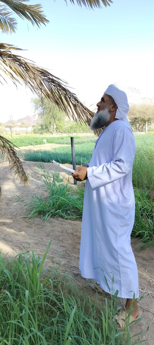 YZakah's tweet photo. بدء لجنة الزكاة والصدقات بولاية ينقل في (خرص الثمار) لهذا العام  ١٤٤٤هـ.
حيث اليوم تم الزيارة الأولى في حي المنجورين ، والثانية بقرية الروضة لمزرعتين.
واللجنة على أتم استعداد لزيارة المزارع بالولاية بالتواصل مع رقم اللجنة 98250077 ، أو ممثلى القرى.
@zakat_oman
@YANQULNews https://t.co/LuFjaBw8wm
