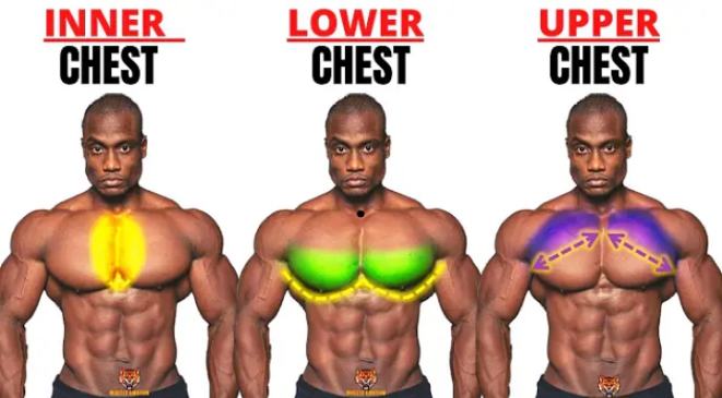 TOP 7 CENTRAL, BASE AND UPPER CHEST TRAINING AT GYM