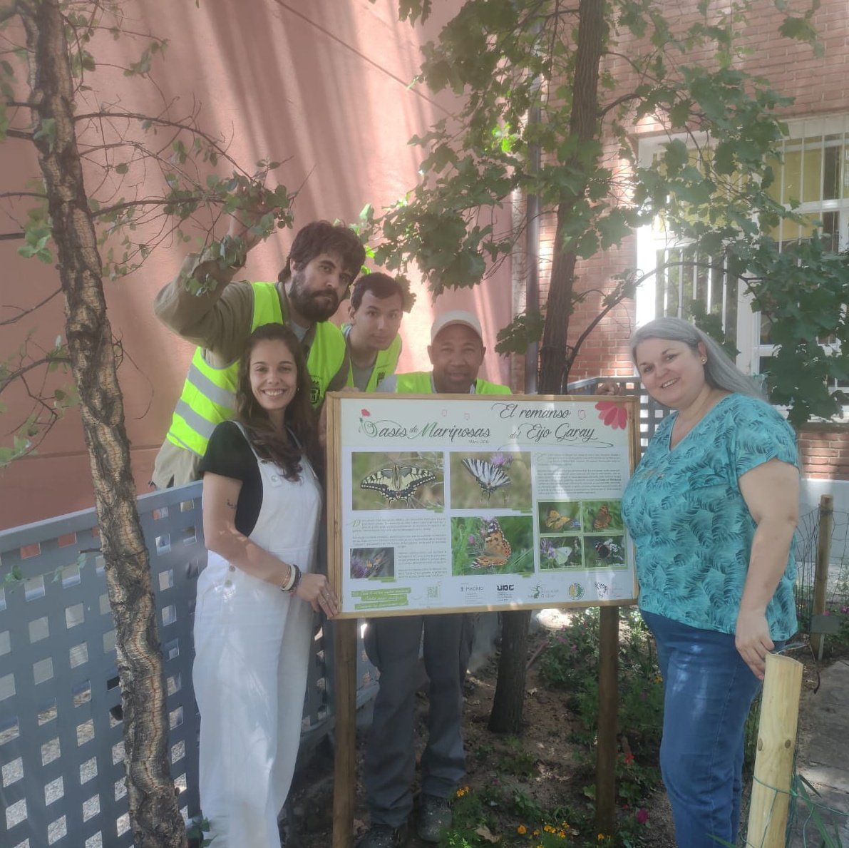 UdcChamartin's tweet photo. Instalamos el primer #OasisDeMariposas en el #ceippatriarcaobispoeijogaray 🥰🦋🐛ahora toca esperar a que vengan, y así poder identificarlas gracias a la colaboración de @asocZERYNTHIA 🤗 @JMDChamartin @MADRID @AsocElOlivar https://t.co/B2EuPn84T8