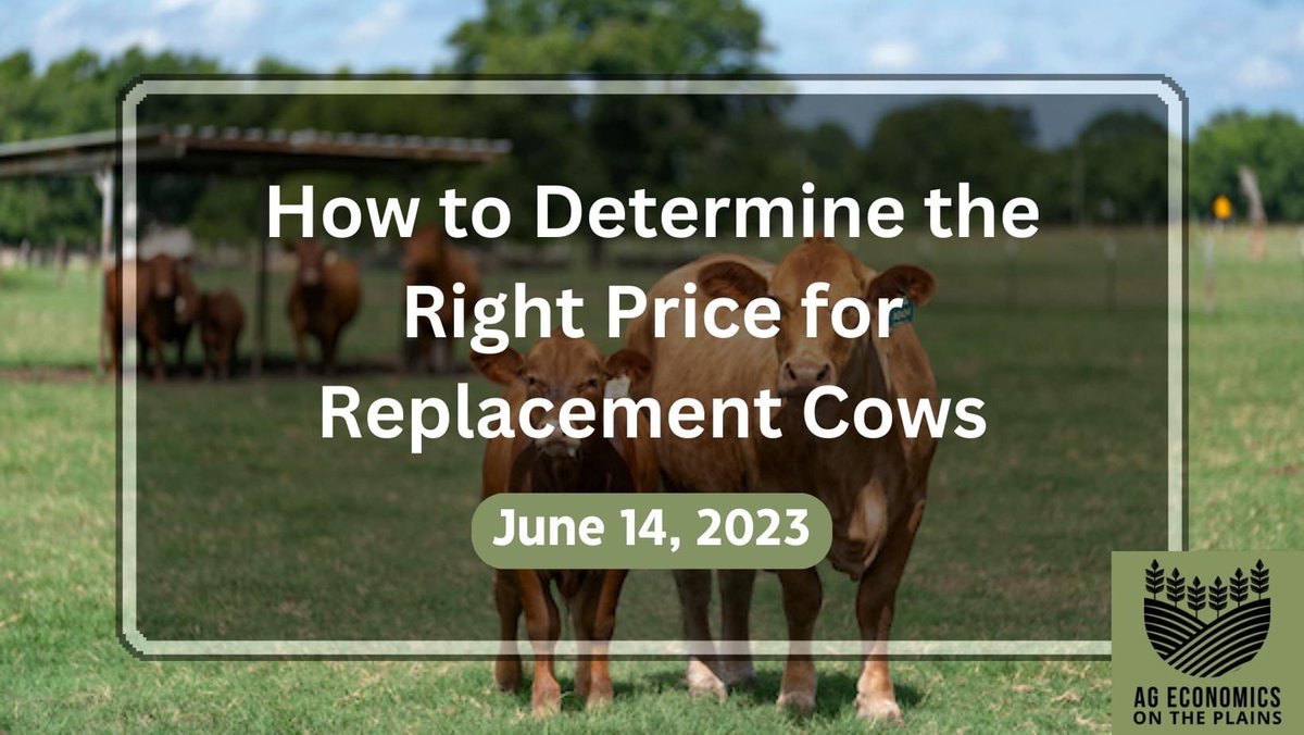AbelloPancho's tweet photo. Recent rainfall has relieved Texas drought conditions. Today we will review the Bid Price for Beef Cows Decision Aid. This tool will help you analyze the key variables determining how much you should pay for a beef cow.

Learn more on today's blog: https://t.co/kwGV8qGWV0
#ageco https://t.co/10cFaWm1q0