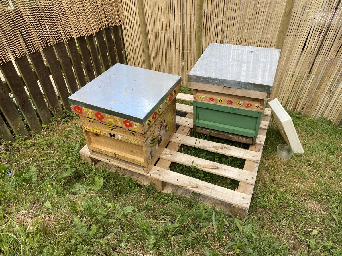 MatlockPrimary's tweet image. Some of our parents (Sarah and Sally) have been very busy over the last few weeks transforming our garden area - it is looking lovely.  The new bees seem to have settled in nicely as well.