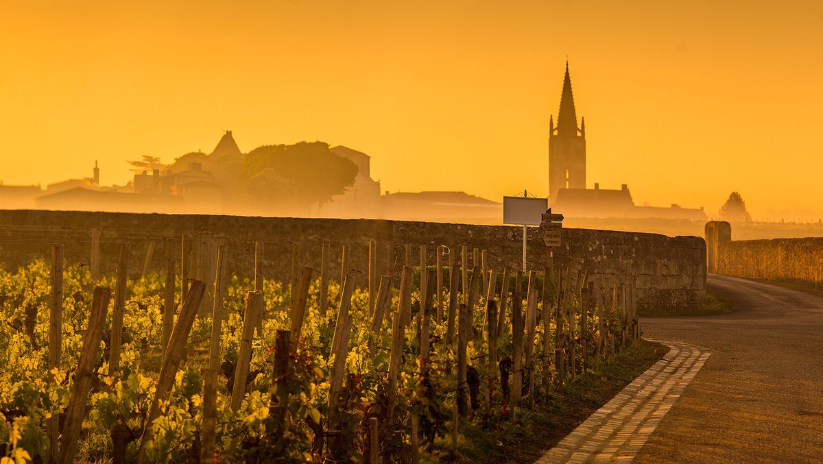 Bordeaux 2022: Something new under the sun—Catch 22 // Simon Field MW delivers his definitive overview of the Bordeaux 2022 vintage.

See link to learn more bit.ly/3X6WrdK
#worldoffinewine #editorspick #bordeaux #bordeauxvintage