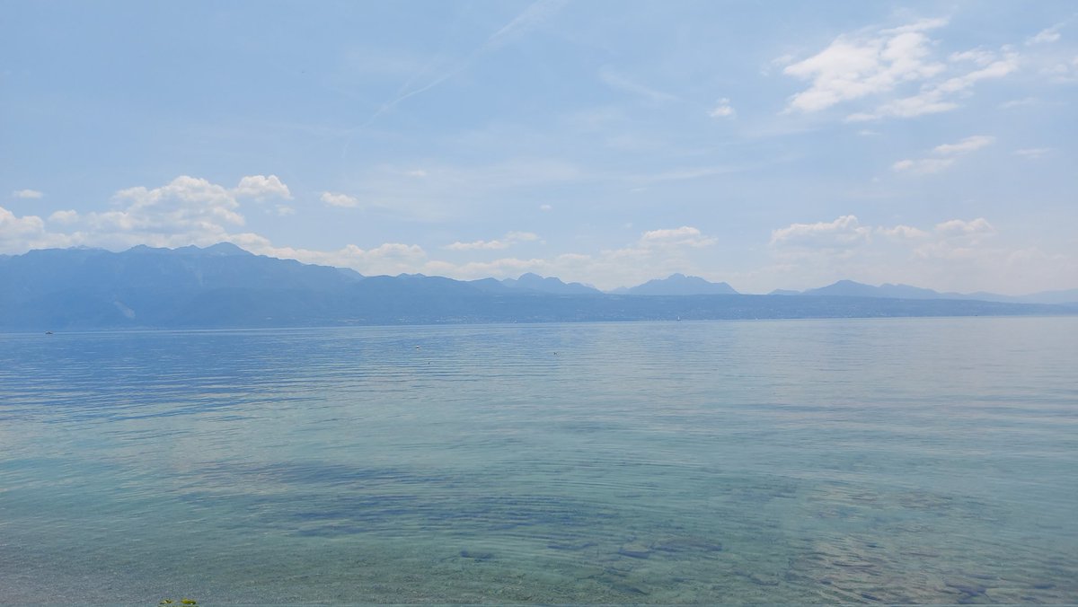 mortelsoda's tweet photo. Le lac est tout calme aujourd'hui. https://t.co/F5Hu6mLaLG