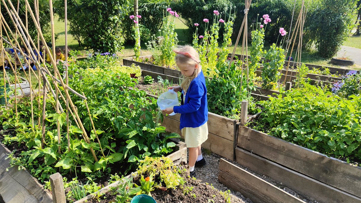 Ysgol y Ddwylan tweet media