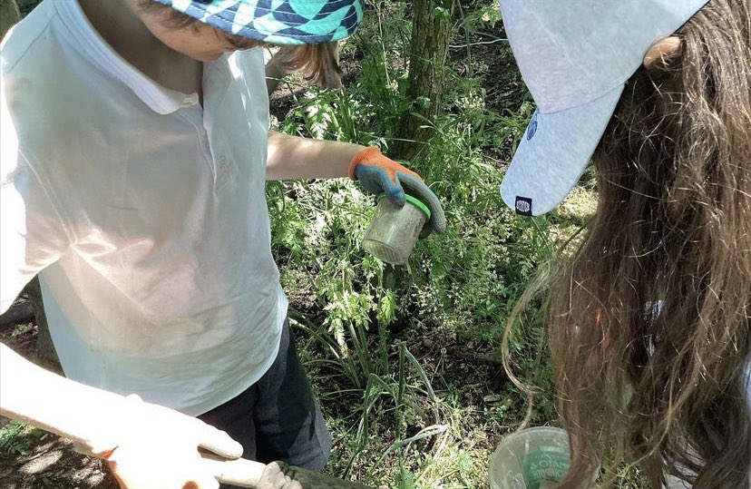 Year 4 had a fantastic return to forest school! We had rainforest themed natural crafts happening! Some children just loved being back outside exploring the site and others created their own habitat in our hammock! Lots of happy children! #kpps #togetherwearebetter #forestschool