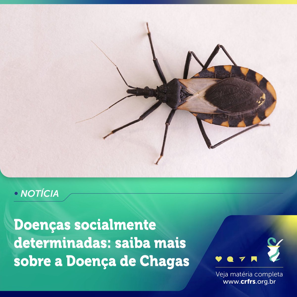 #NewsFarma:      

Em ação inédita, Governo Federal lançou comitê interministerial para eliminação de doenças que acometem as populações de maior vulnerabilidade social.

📷 Confira a matéria: shre.ink/lS1O