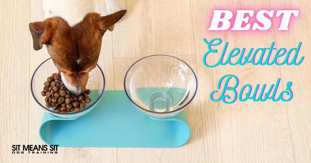 AtlDogTrainer tweet picture