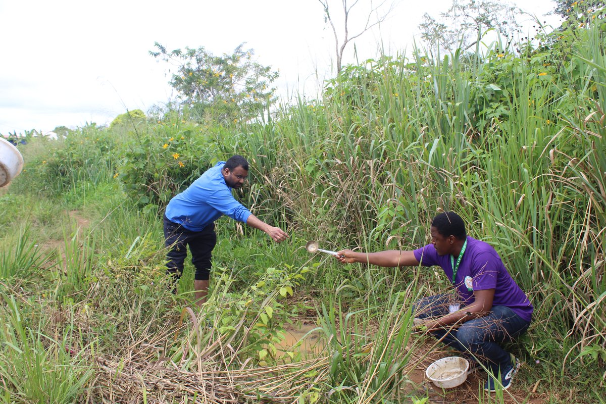 June 15, 2023. Prof @GeorgeDimop14, Drs Mary Kefi and Kona from @JohnsHopkins, Andrea Nardi from @HyrisLtd; Dr. @Armel_Tedjou, @WTchapga from @cam_crid and others had a successful field trip to #Mbalmayo, #Cameroon. They collected #mosquito #larvae across the city.