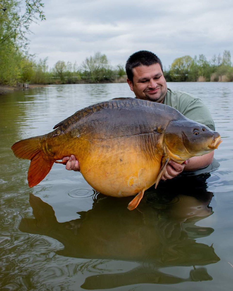 The Daneshi brothers Dan and Lewis had a great 5 session at Holme Fen. They caught 20 fish, both having a brace of 50s. Spod&amp;PVA Pellet Mix along side 10mm Essential Cell with Quads and Pastel Barrel Squid wafters hookbaits the winning bait selection.

#mainlinebaits #carpfishing