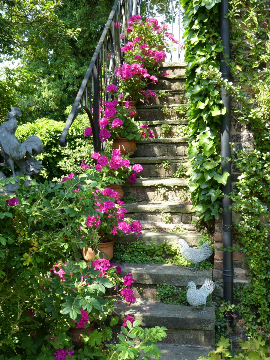 SLGardens's tweet image. The loft steps, vulgar pink geraniums are allowed here ! They overwinter in the greenhouse and so are really part of the family
#Geraniums #Shocking Pink #Pots #Steps #GardenJoy #OpenGarden #VisitYork #GardenInspiration