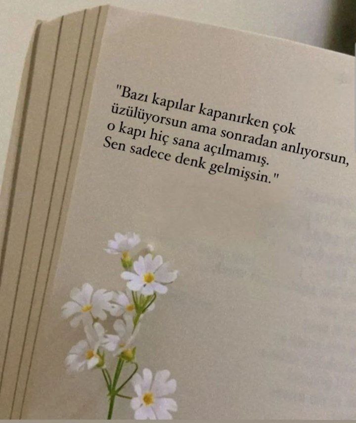 derya_abs's tweet photo. https://t.co/tfTM5EBfFh