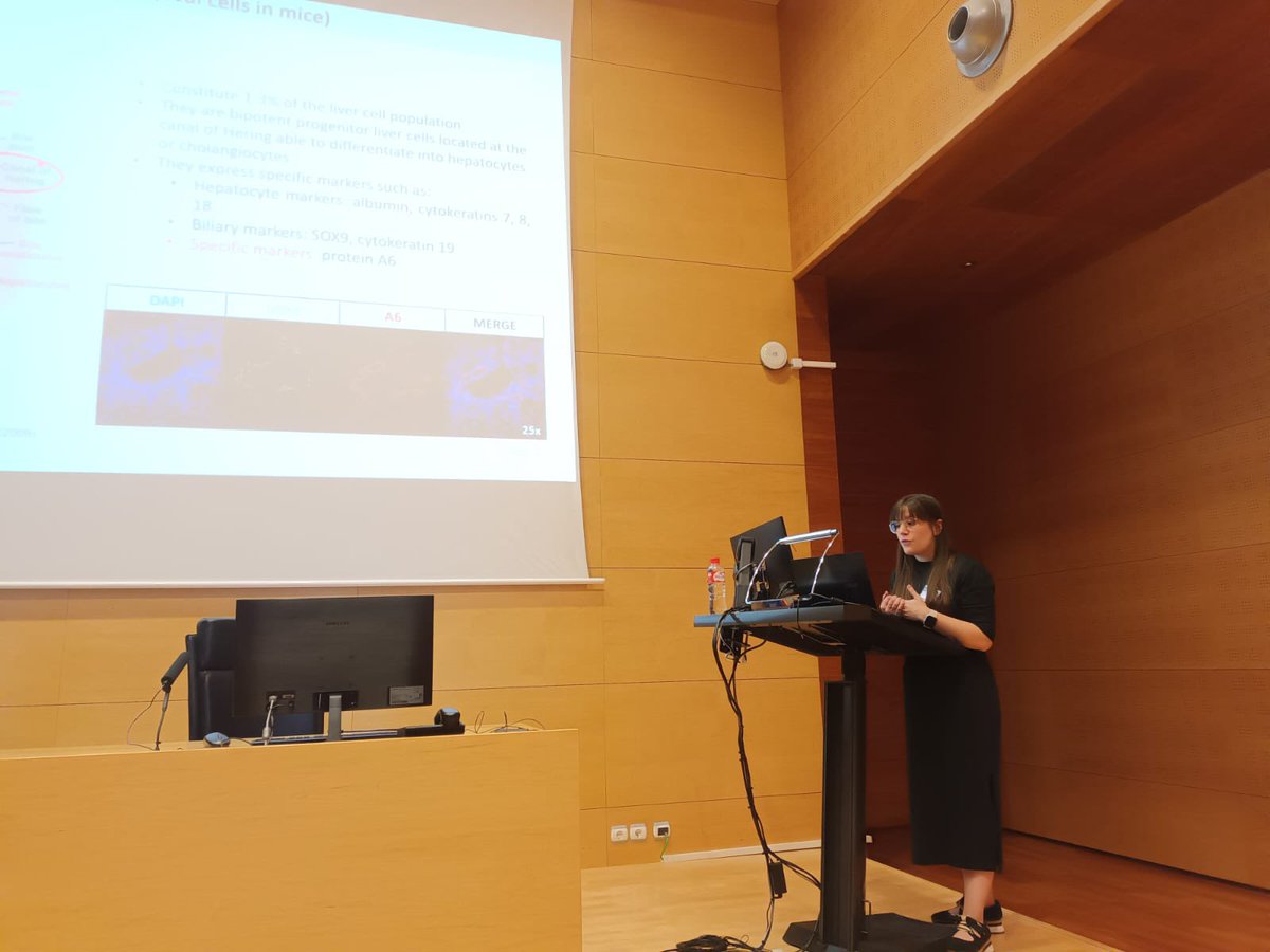 FatlivL's tweet image. 📢👩🏻‍🔬 
Amazing talk focused on the susceptibility of oval cells to lipotoxicity and hypoxia given by our Juan de la Cierva researcher Laura Villamayor at the MOIR3 meeting hosted in @urjc today! 🙂 Thanks to the audience for the great feedback!! Well done Laura! 🧬🧪🧫