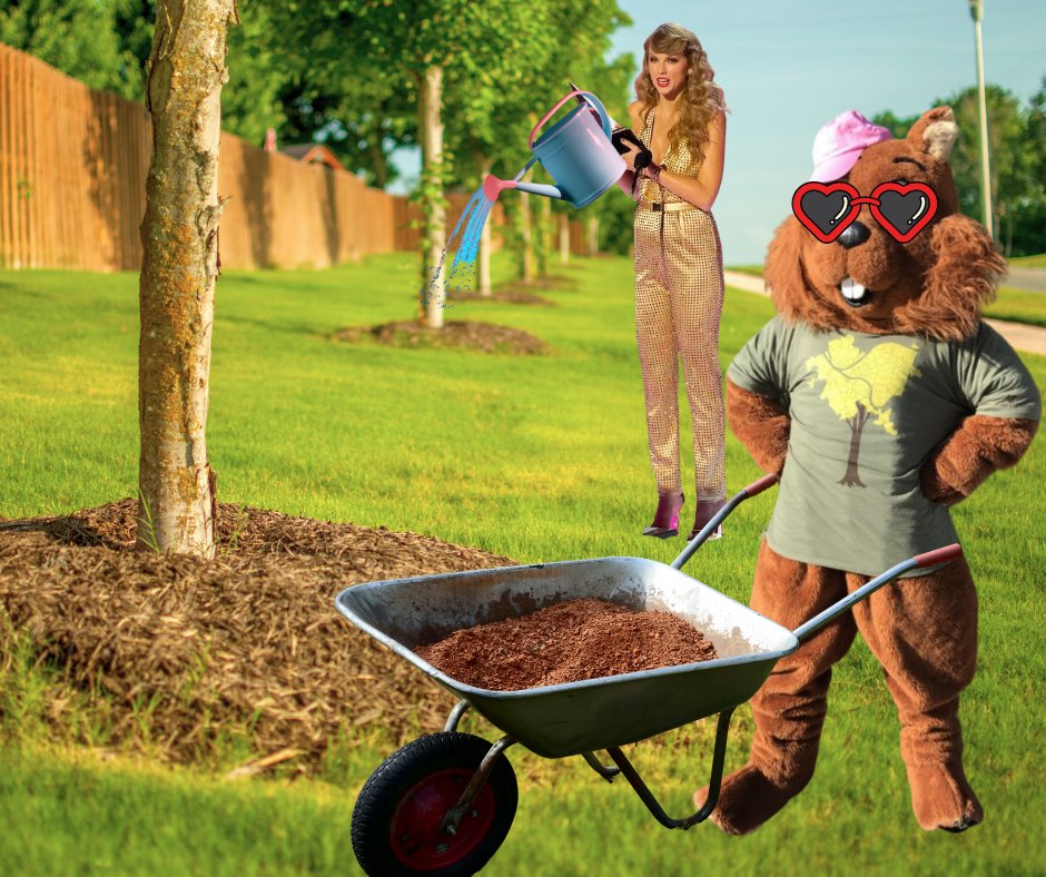 TreePgh's tweet photo. Can I ask you a QUESTION...? Have you been caring for your trees? I WISH YOU WOULD. It's been a CRUEL SUMMER full of heat, and we're only a few weeks in. https://t.co/OUyN5ypTTd