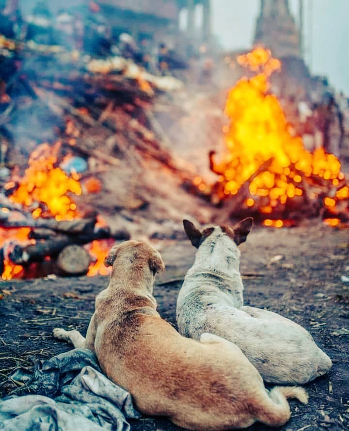 Manish0Tripathi's tweet photo. ये जो काशी के महाश्मशान पर चिंतायें जल रहीं हैं ना 
ये जिंदगी के रंगमंच का बस अंतिम दृश्य है मात्र हैं
इसके बाद कलाकार के अदाकारी की समिक्षा होगी 
लोग बताएंगे कि अदाकारी कितनी उम्मदा थी
और फिर उसकी कहानी लोगो मे उतने अधिक समय तक रहेगी 

1/2 https://t.co/5pWcskXXbE