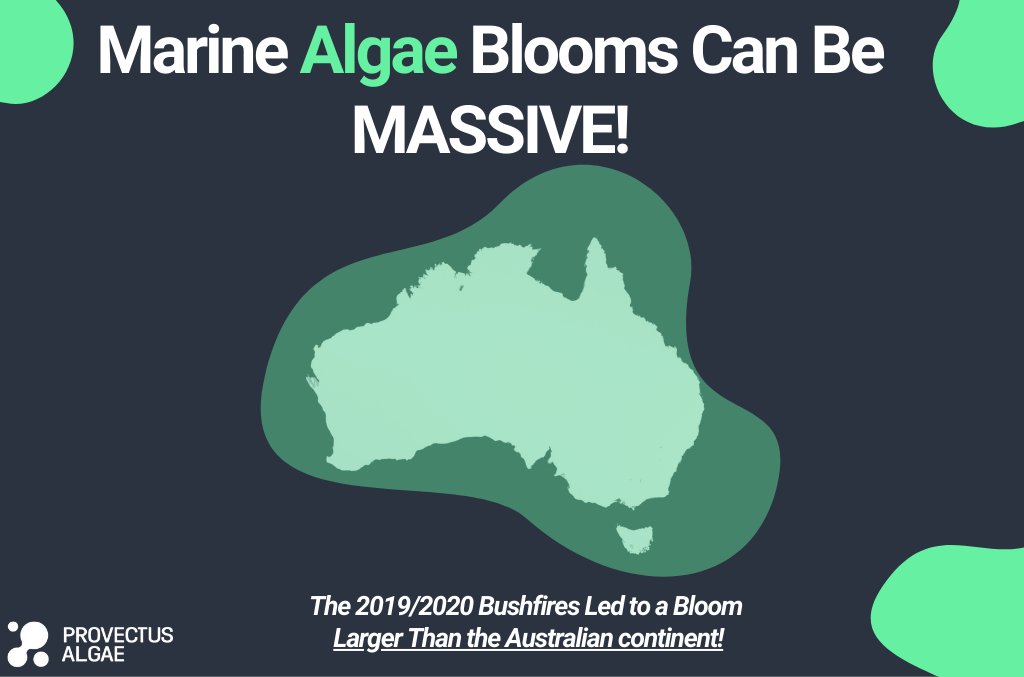 Provectus Algae tweet media