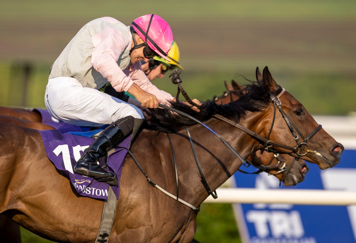 LeopardstownRC's tweet photo. Vidala and Robbie Colgan are first past the post in the Leopardstown Golf Course H´cap (DIV I), holding off Tara Power by a hd. 

Well done to all connections.

O: Spyglass Syndicate
T: Sheila Lavery
J: Robbie Colgan https://t.co/4ga1w1fobX