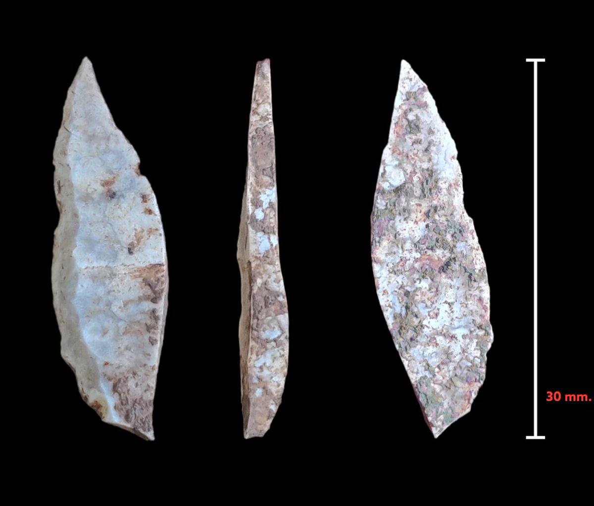 The new Cova de Les Borres test pit Cala 7, aka 'Danelaw', is starting to yield some beautiful lithics 👀 shout-out to @AU_Archaeology volunteers @HolchKaas @Alexand16380306 #LB23