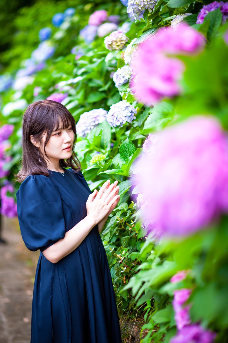 ienista84's tweet photo. model @LJK_VN
#出井麻莉子 #麻莉子お嬢様 #麻莉子病 #ポートレート #portrait #photography #ファインダー越しの私の世界 #紫陽花 #去年の写真 #violinist #Nikon #Z6II #Lightroom #アーリーズ #Arlys #撮影会
関係ないんですけど、うちの職場の紫陽花もう枯れてるんですよ😃 https://t.co/jGFGVBRgP1