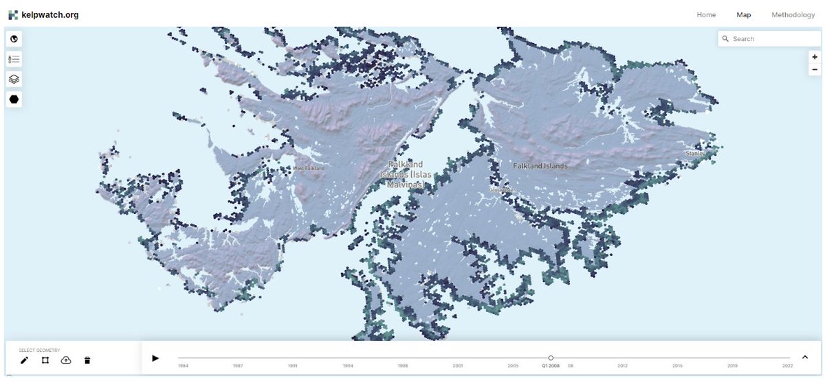 Conserve_CA's tweet photo. New data are up on https://t.co/pHFBx1Uf6S! The tool now hosts canopy-forming #kelp data in Southeast Alaska and the Falkland Islands. Check it out! @WHOI and @UCLA 

#Landsat #opendata #kelpwatch https://t.co/yGjUGoeMcN