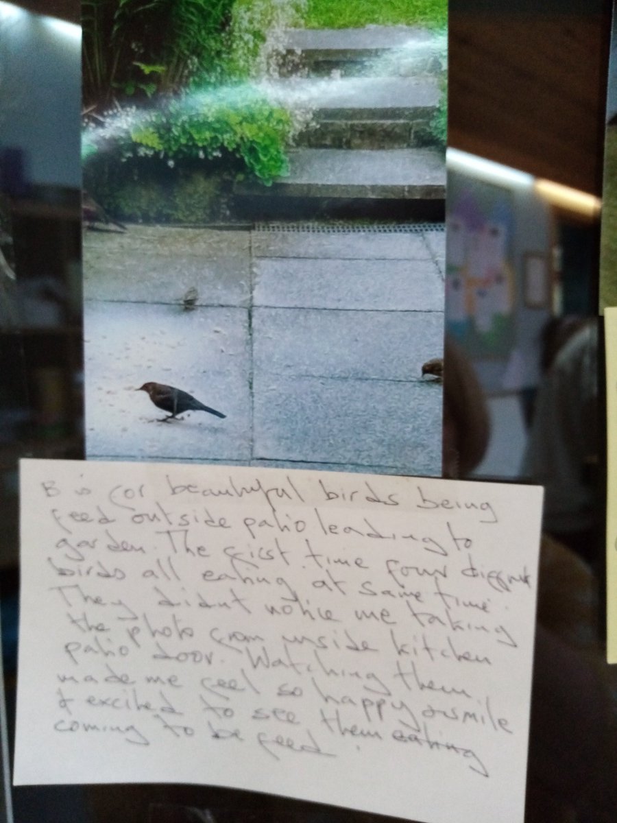 MS Argyll Snowdrop Centre tweet media