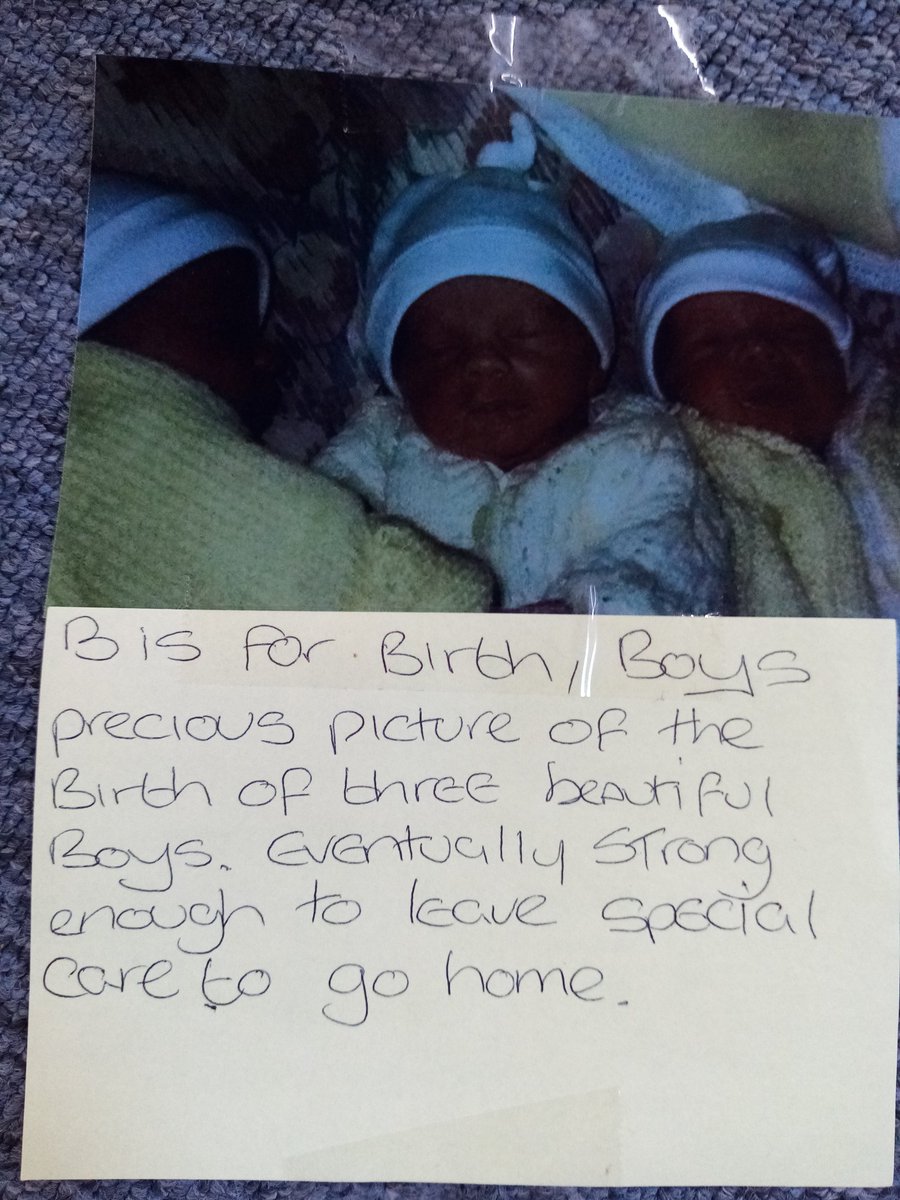 MS Argyll Snowdrop Centre tweet media