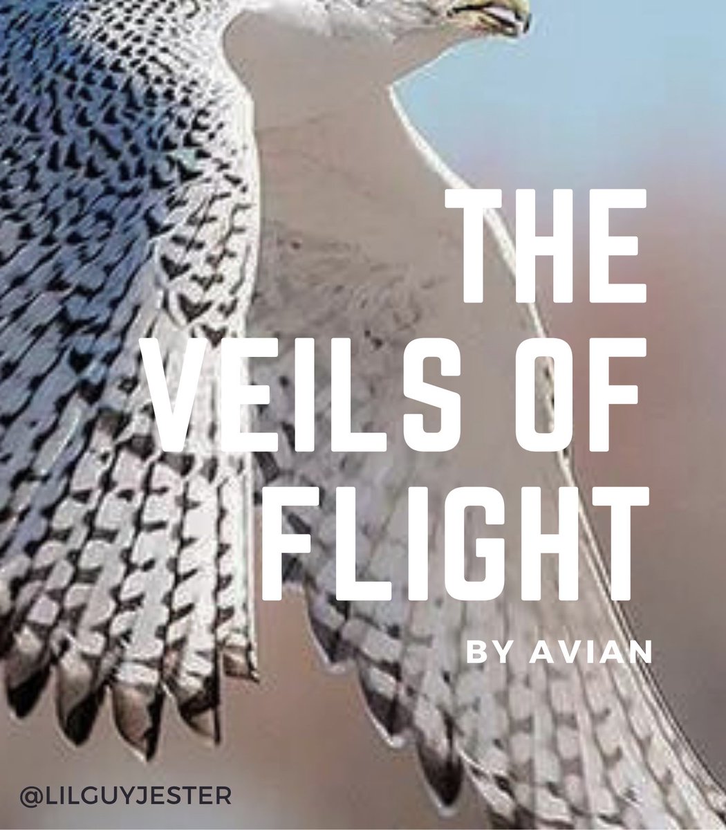 lilguyjester's tweet photo. THE VEILS OF FLIGHT

link: https://t.co/bOUPrz4JGi https://t.co/FbfdadZ9Gt